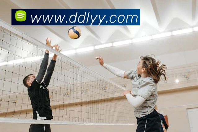 多媒体互动体验